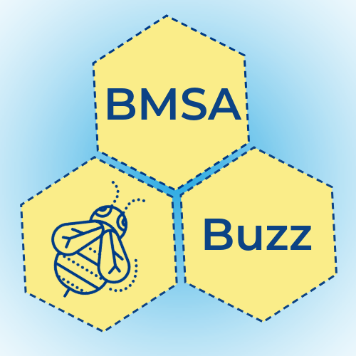 BMSA Buzz Logo